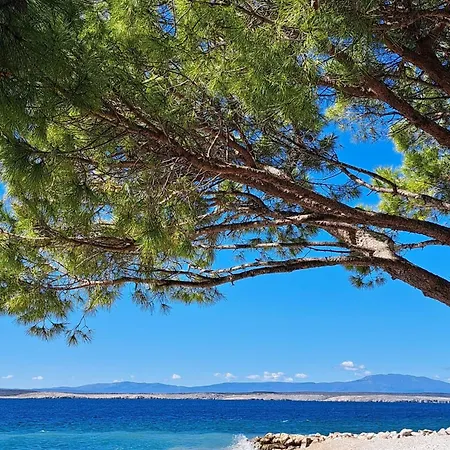 Апартаменты Vila Bohemia *