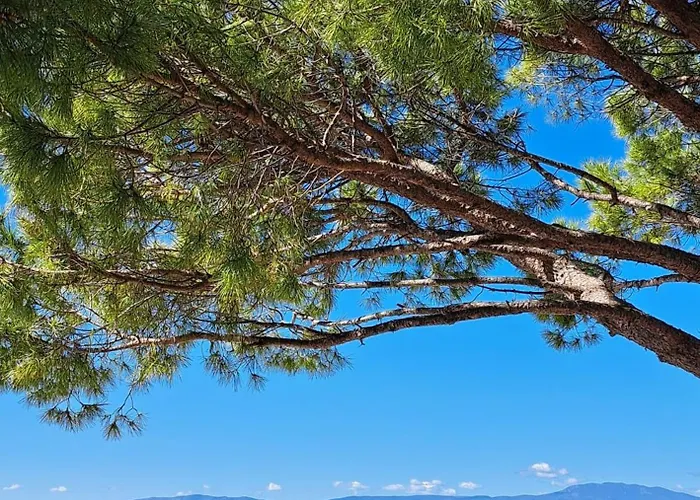 Διαμέρισμα Vila Bohemia *